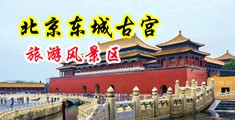 爆操污中国北京-东城古宫旅游风景区