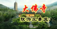 插入少妇的骚屄射精中国浙江-新昌大佛寺旅游风景区